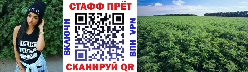 Магазины продажи наркотиков Каргат COCAIN Меф мяу мяу Альфа ПВП МАРИХУАНА