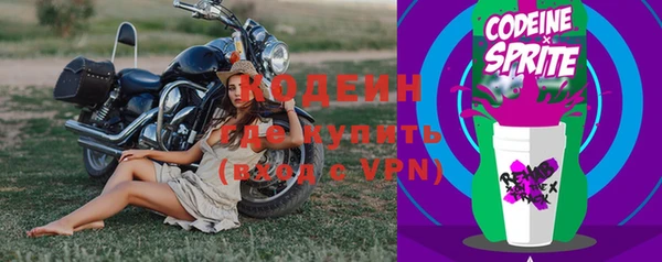 шишки Наволоки