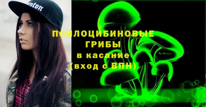 Галлюциногенные грибы Cubensis  Каргат 