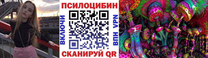 Псилоцибиновые грибы Cubensis Каргат