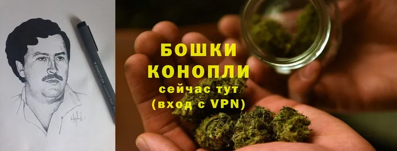 Шишки марихуана OG Kush  купить  сайты  Каргат 